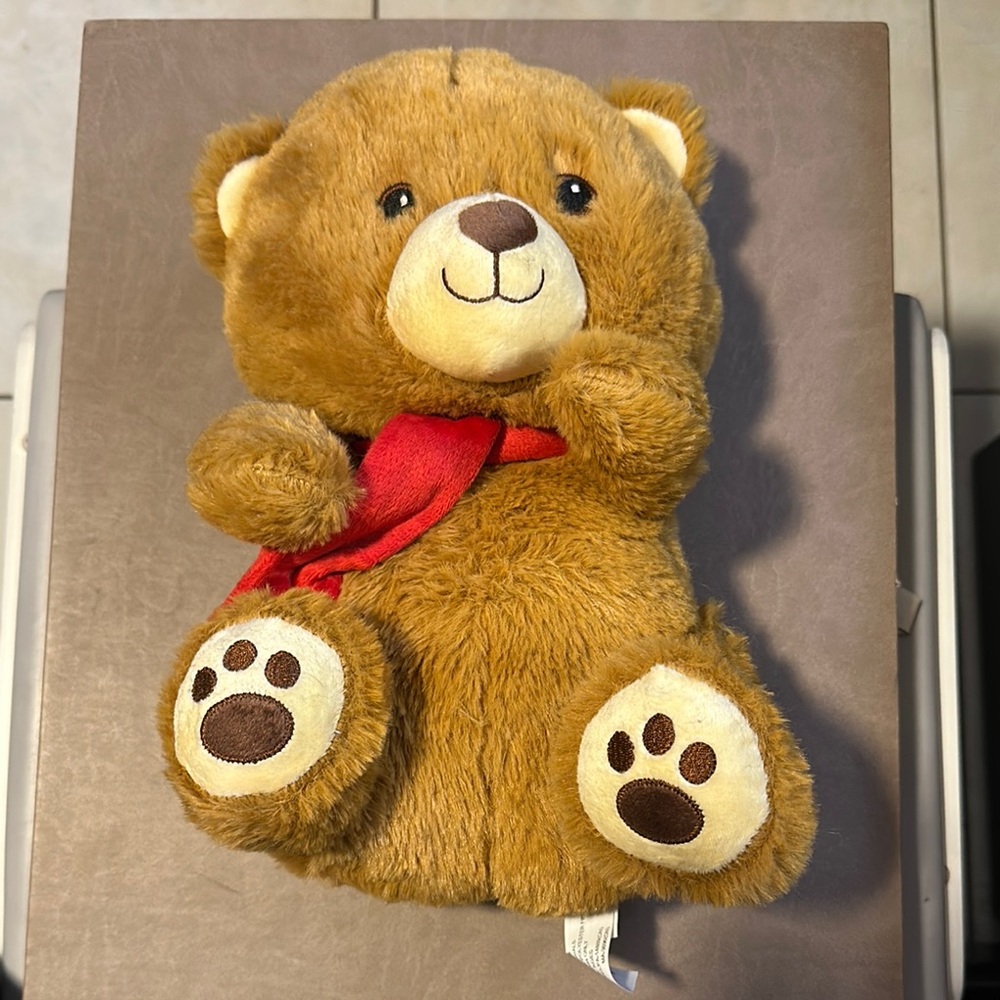 Brown Teddy Bear with Red Scarf
